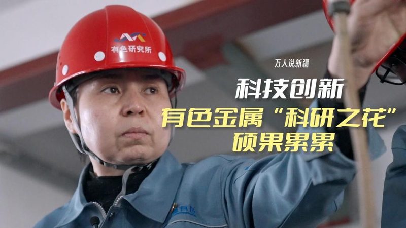 数据服务代理加盟：揭秘其背后的商业逻辑与选型要点